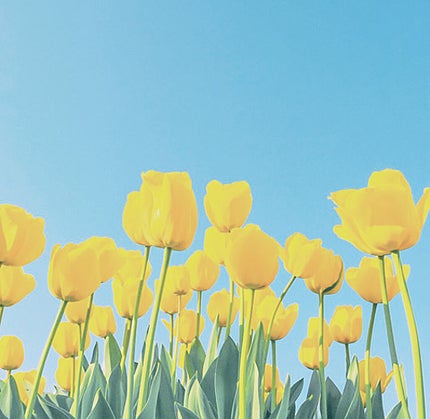 薬用しみ集中対策 プレミアム美容液/メラノCC/美容液を使ったクチコミ(5枚目)