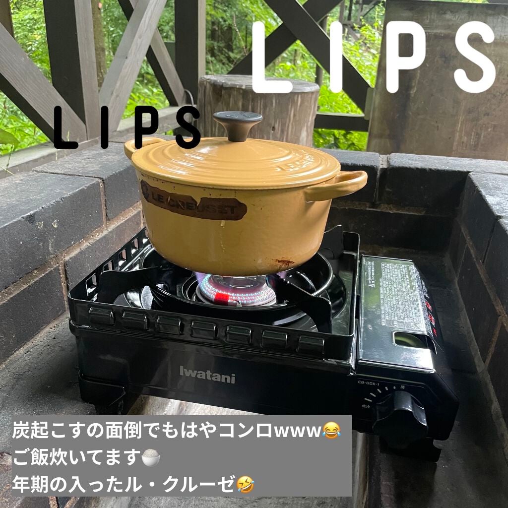 歯みがき(ソルト)/WELEDA/歯磨き粉を使ったクチコミ(4枚目)