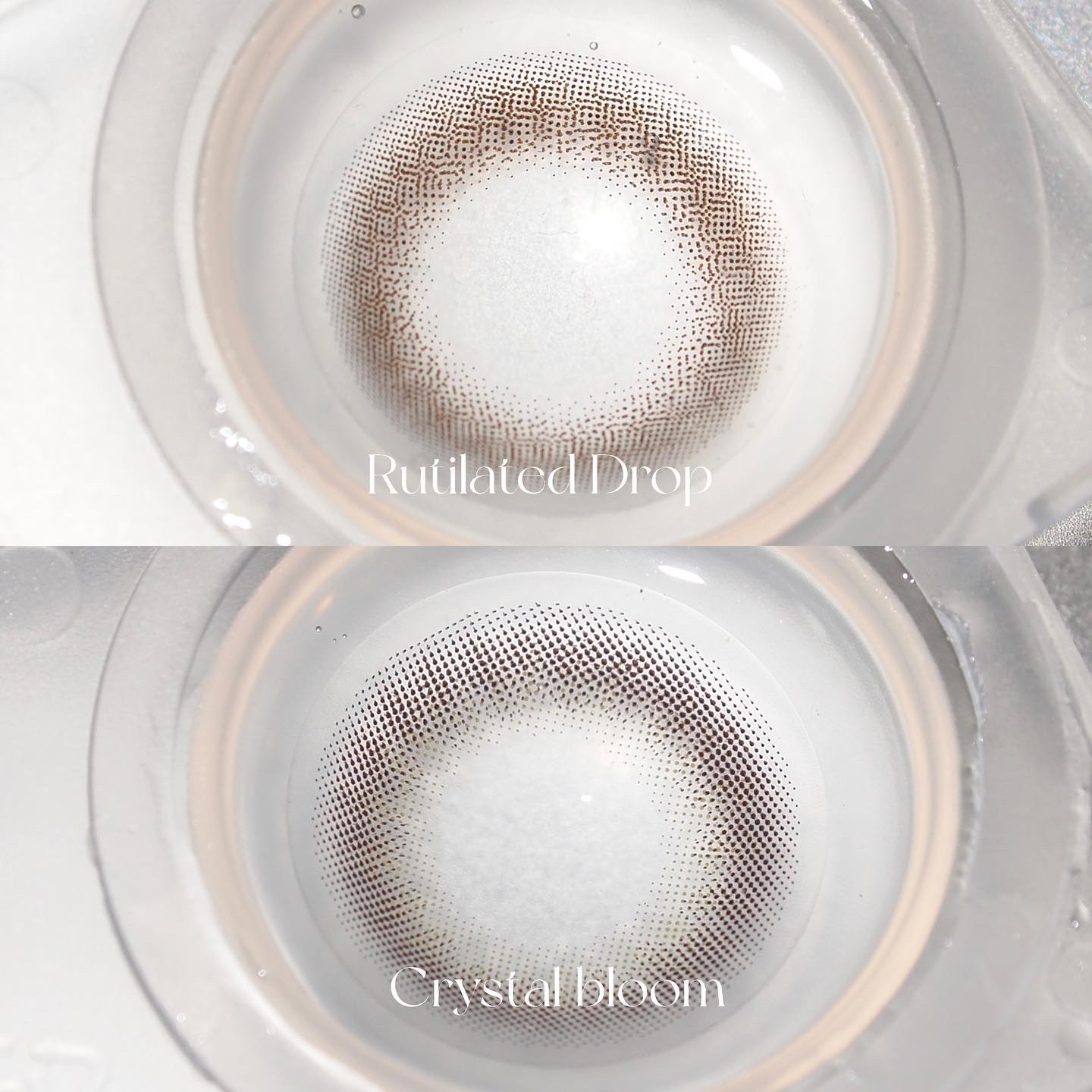 TOPARDS 1day/TOPARDS/ワンデー（１DAY）カラコンを使ったクチコミ（3枚目）