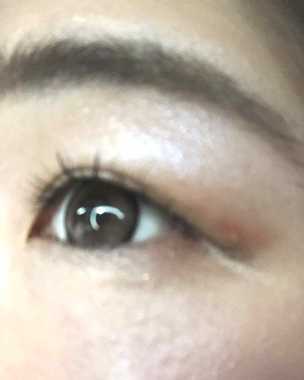 ディーアップアイラッシュ LASH Me　ラッシュミー 05 NATURAL/D-UP/つけまつげを使ったクチコミ（3枚目）