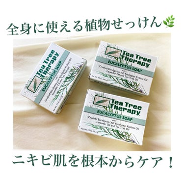 Vegetable Soap Eucalyptus/Tea Tree Therapy/洗顔石鹸を使ったクチコミ（1枚目）