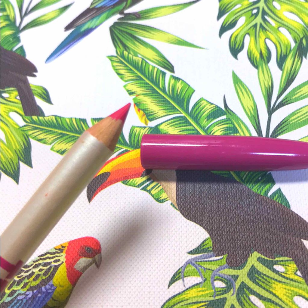 ME NOW True lips lip liner pencilsのクチコミ「Amazonで見つけたので購入してみました😆
12種類入っています‼︎
どの色も使いやすそうで.....」（3枚目）