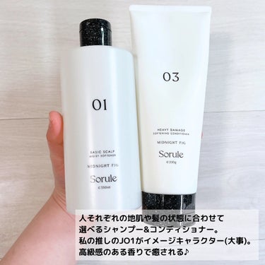 モイストソフナー 01ベーシックスカルプ 350ml/Sorule/シャンプー・コンディショナーを使ったクチコミ（2枚目）