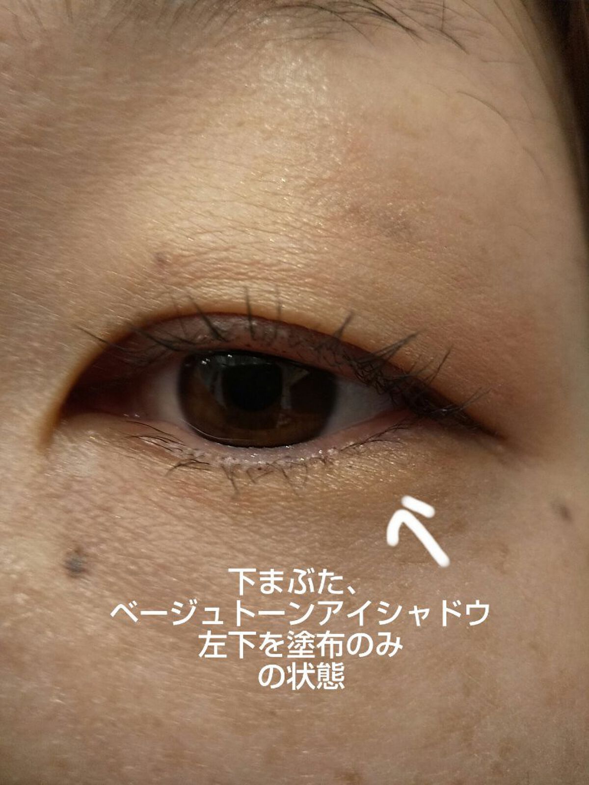 パーフェクトマルチアイズ/キャンメイク/アイシャドウパレットを使ったクチコミ（3枚目）