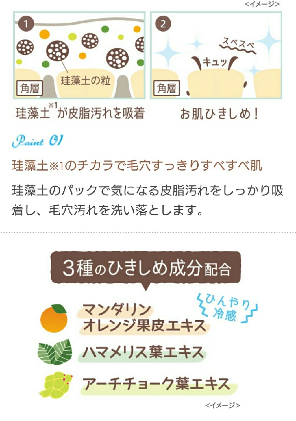 リフターナ 珪藻土パック/pdc/洗い流すパック・マスクを使ったクチコミ(3枚目)