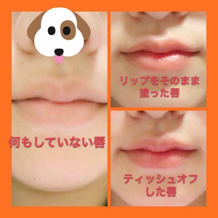 CCリップクリームN/KATE/リップケアを使ったクチコミ(2枚目)