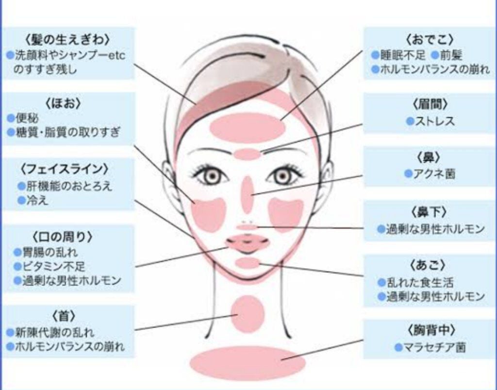 薬用泡のふんわり洗顔/スキンライフ/泡洗顔を使ったクチコミ(2枚目)