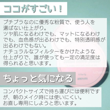 アニューム セバム コントロール パウダー/saat insight/ルースパウダーを使ったクチコミ(4枚目)