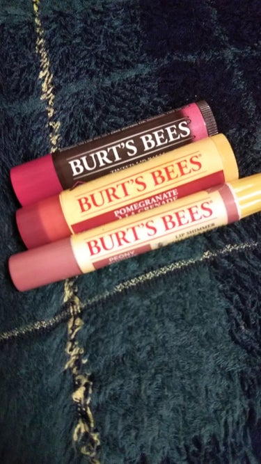 ビーズワックスリップバーム/BURT'S BEES/リップケア・リップクリームを使ったクチコミ（1枚目）