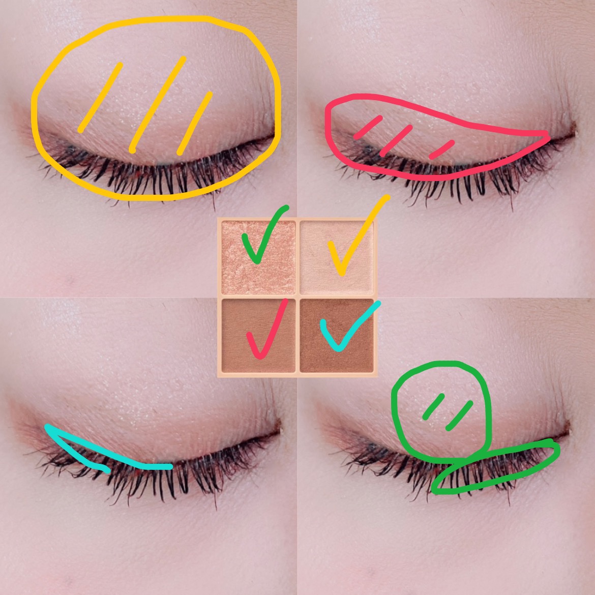 ベージュトーンアイシャドウ/CEZANNE/アイシャドウパレットを使ったクチコミ（2枚目）