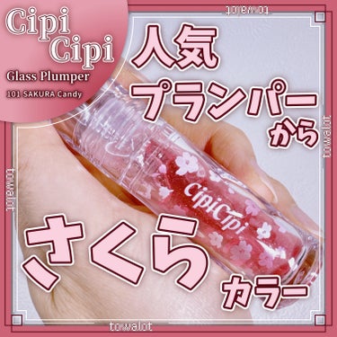 CipiCipi ガラスプランパーのクチコミ「こんにちは、とわろっとです。

今回レビューしていくのは、


●CipiCipi 

　Gl.....」（1枚目）