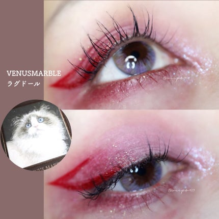 Venus Marble アイシャドウキャットシリーズ/Venus Marble/アイシャドウパレットを使ったクチコミ(1枚目)