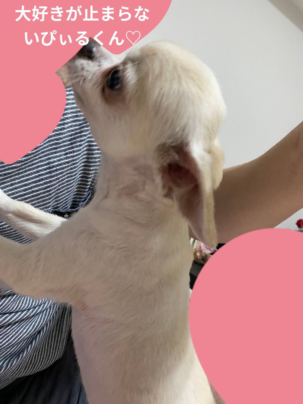 黒マスク/クリアターン/シートマスク・パックを使ったクチコミ(6枚目)