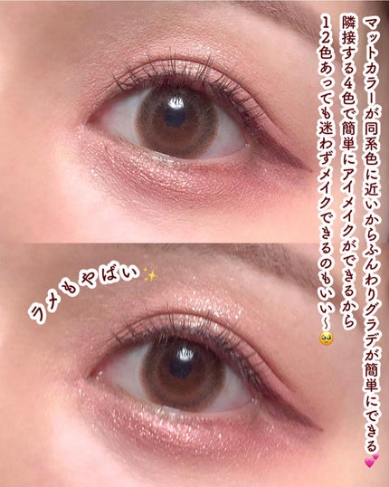 エクスプローラ12色 動物アイシャドウパレット/PERFECT DIARY/アイシャドウパレットを使ったクチコミ(6枚目)