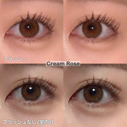 TOPARDS 1day/TOPARDS/ワンデー(1DAY)カラコンを使ったクチコミ(6枚目)