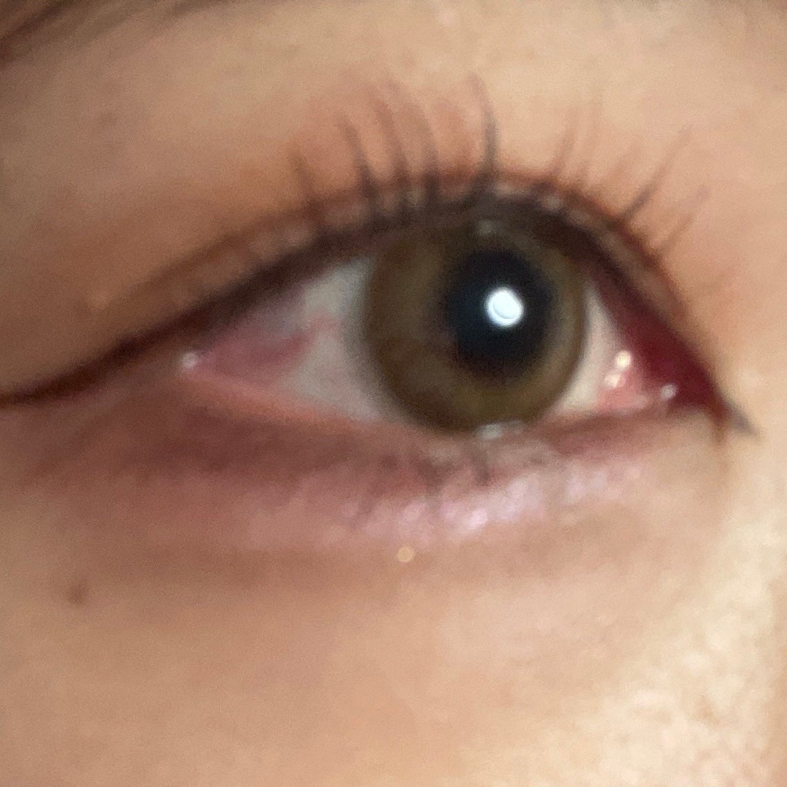 「塗るつけまつげ」ロングタイプ/デジャヴュ/マスカラを使ったクチコミ(1枚目)