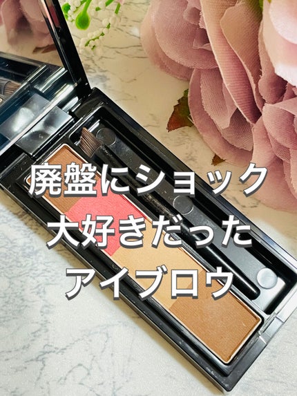 ヴィセ リシェ アイブロウパウダー/Visée/パウダーアイブロウを使ったクチコミ(1枚目)