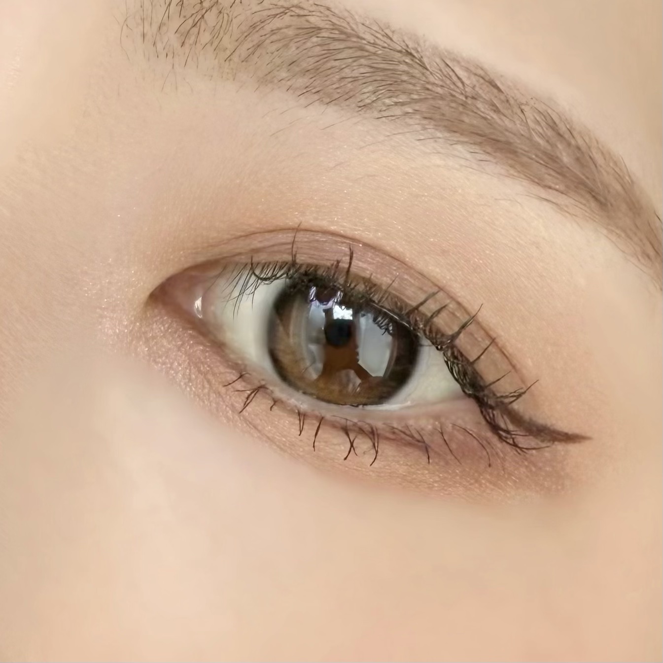 ケイト メロウブラウンアイズ/KATE/アイシャドウパレットを使ったクチコミ（2枚目）