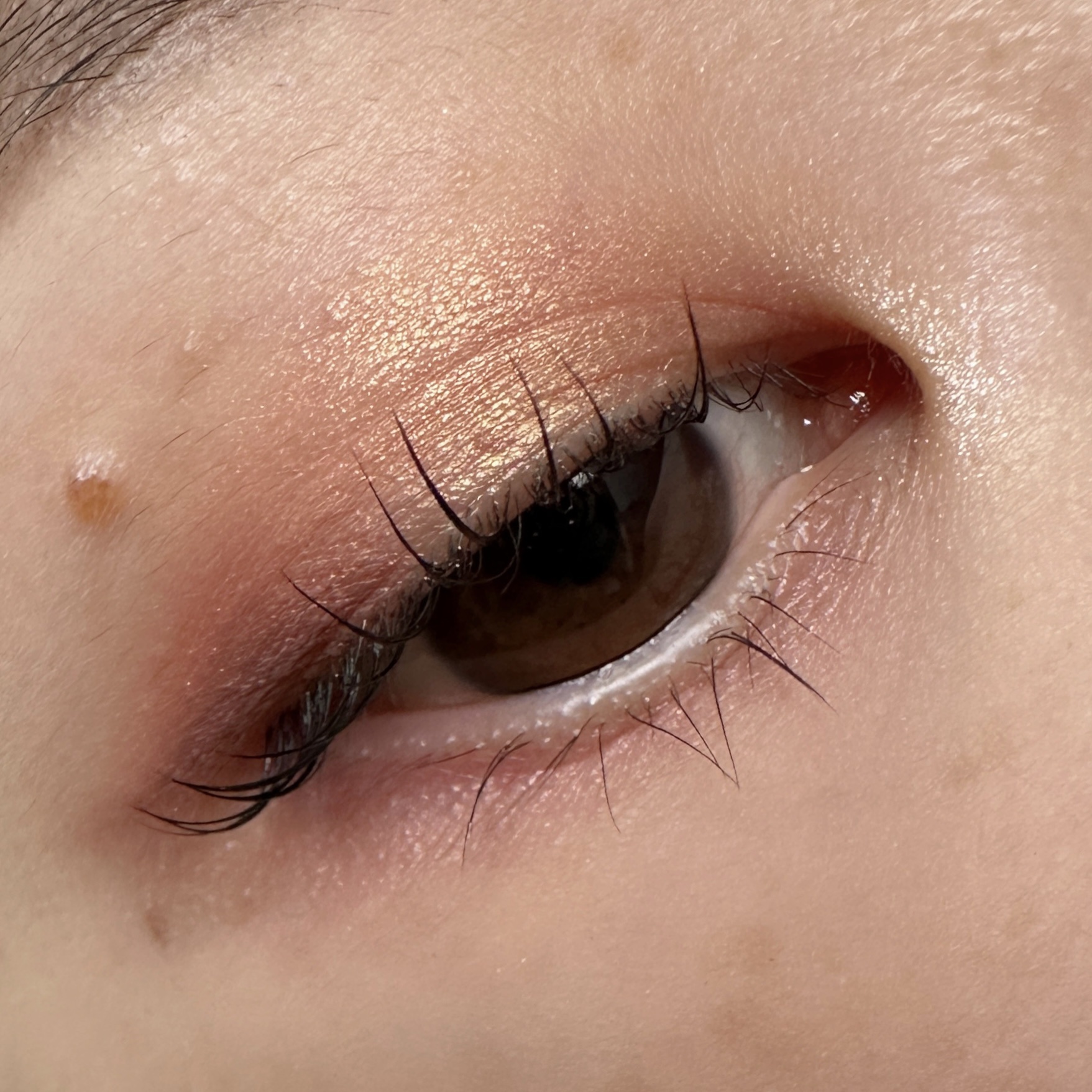 Eyeshadow 5 Colour Compacts/BYREDO/アイシャドウパレットを使ったクチコミ（3枚目）