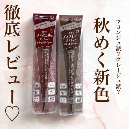 ラスティングリキッドライナー/キャンメイク/リキッドアイライナーを使ったクチコミ(1枚目)