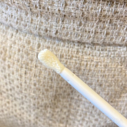 ディオール アディクト リップ マキシマイザー セラム/Dior/リップ美容液を使ったクチコミ(3枚目)