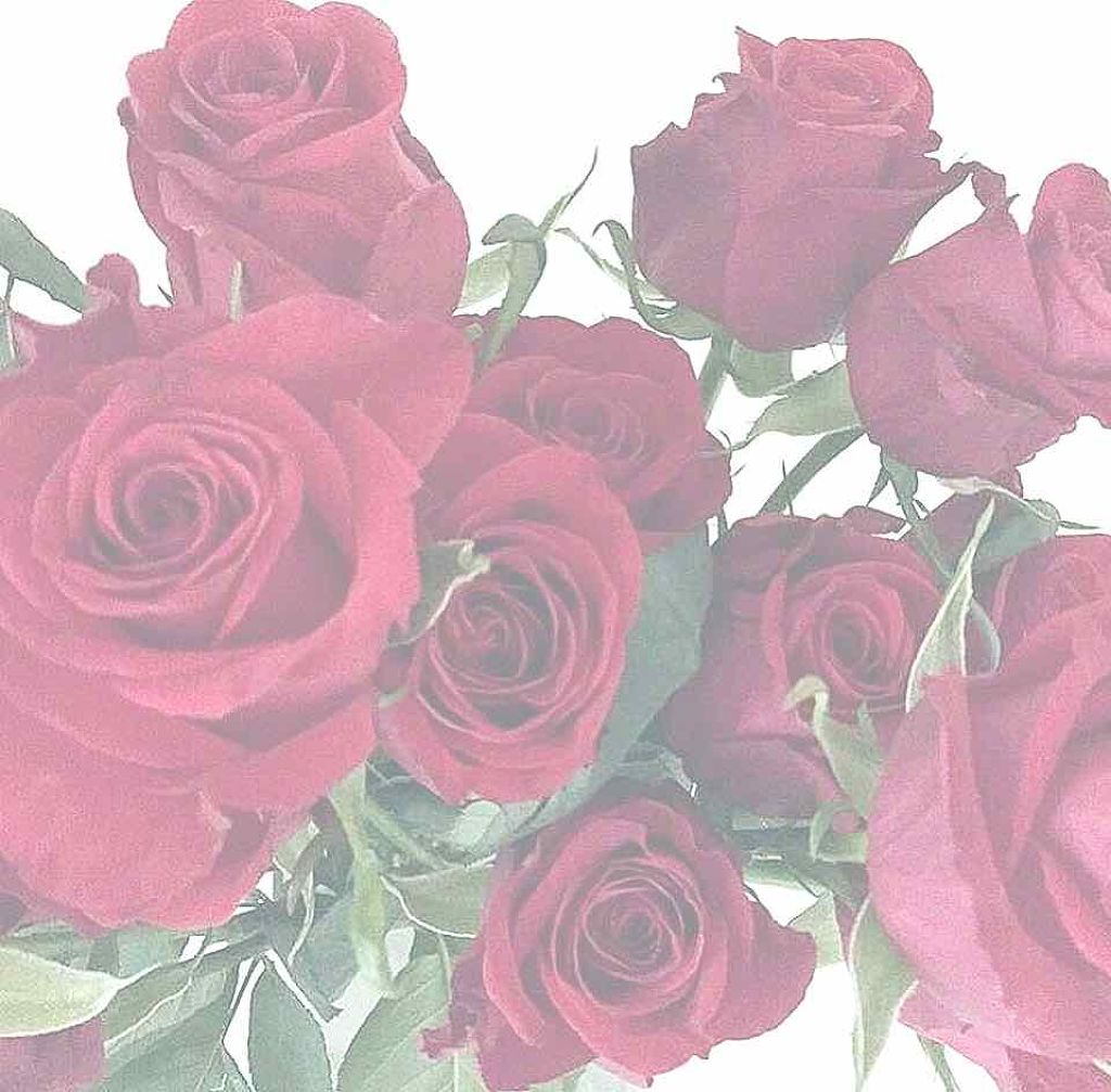 口紅(詰替用)/ちふれ/口紅を使ったクチコミ(1枚目)