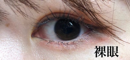 TOPARDS 1day/TOPARDS/ワンデー(1DAY)カラコンを使ったクチコミ(2枚目)