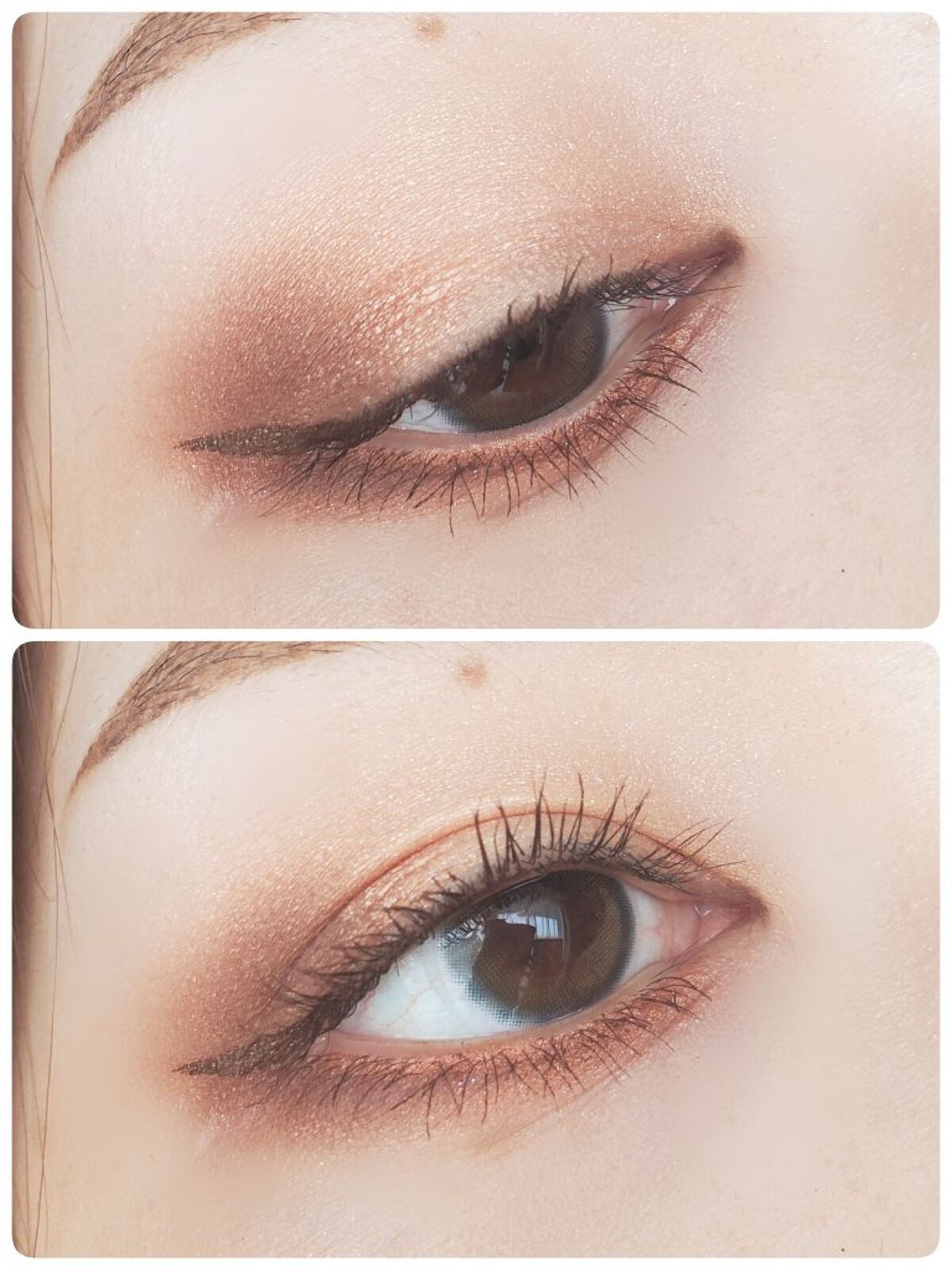 ドレッシーシャドウR/CipiCipi/アイシャドウパレットを使ったクチコミ（2枚目）