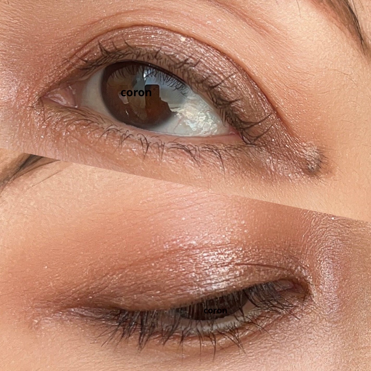 ãªãã¡ã€ã³ãã³ã³ãããŒã« ãªãããã³ã·ã«/THREE/ãªããã©ã€ããŒã䜿ã£ãã¯ãã³ãïŒ2æç®ïŒ