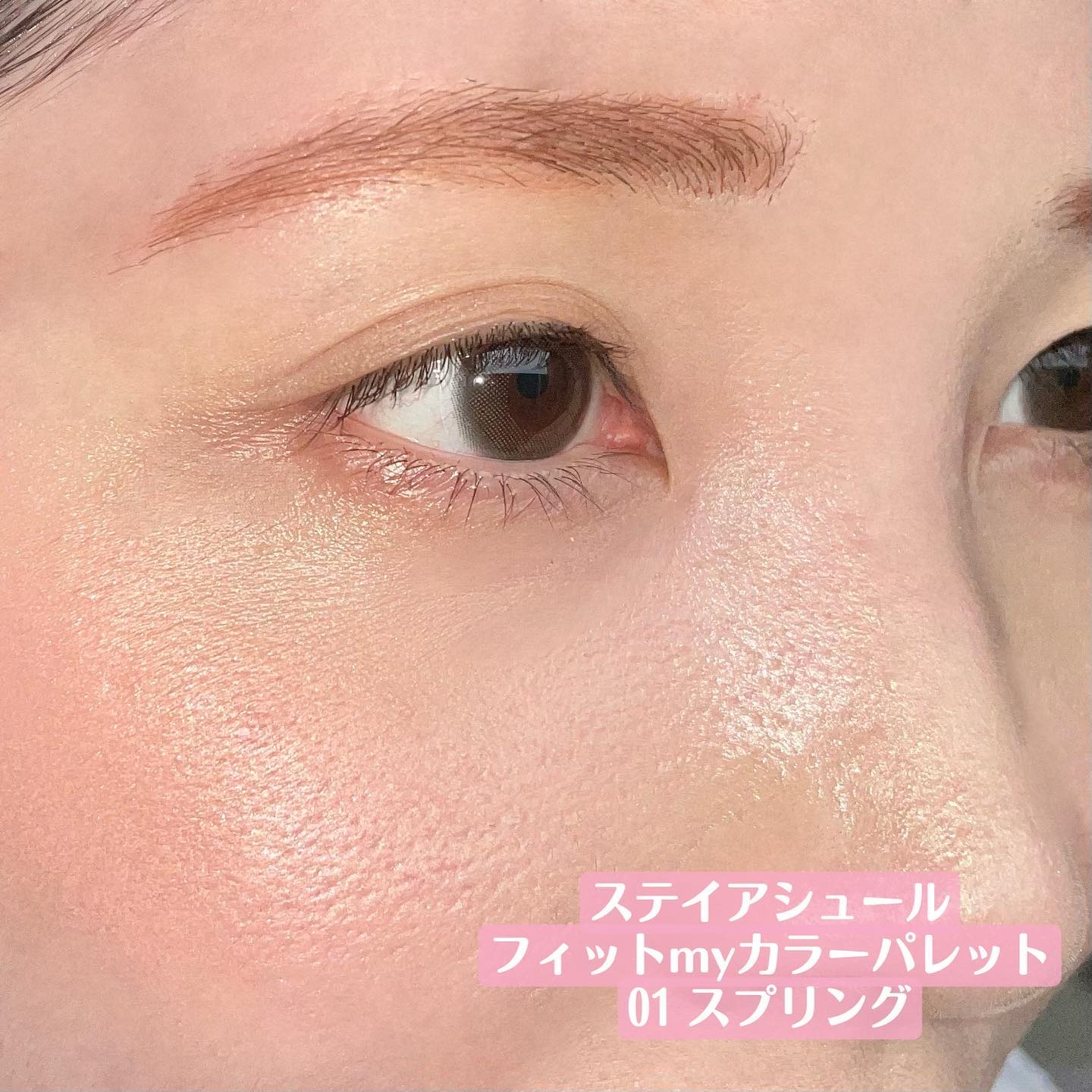 フィット my カラーパレット/STEIASUR（ステイアシュール）/マルチパレットを使ったクチコミ（3枚目）