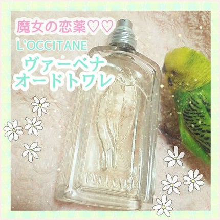 ヴァーベナ オードトワレ/L'OCCITANE/香水(レディース)を使ったクチコミ(1枚目)