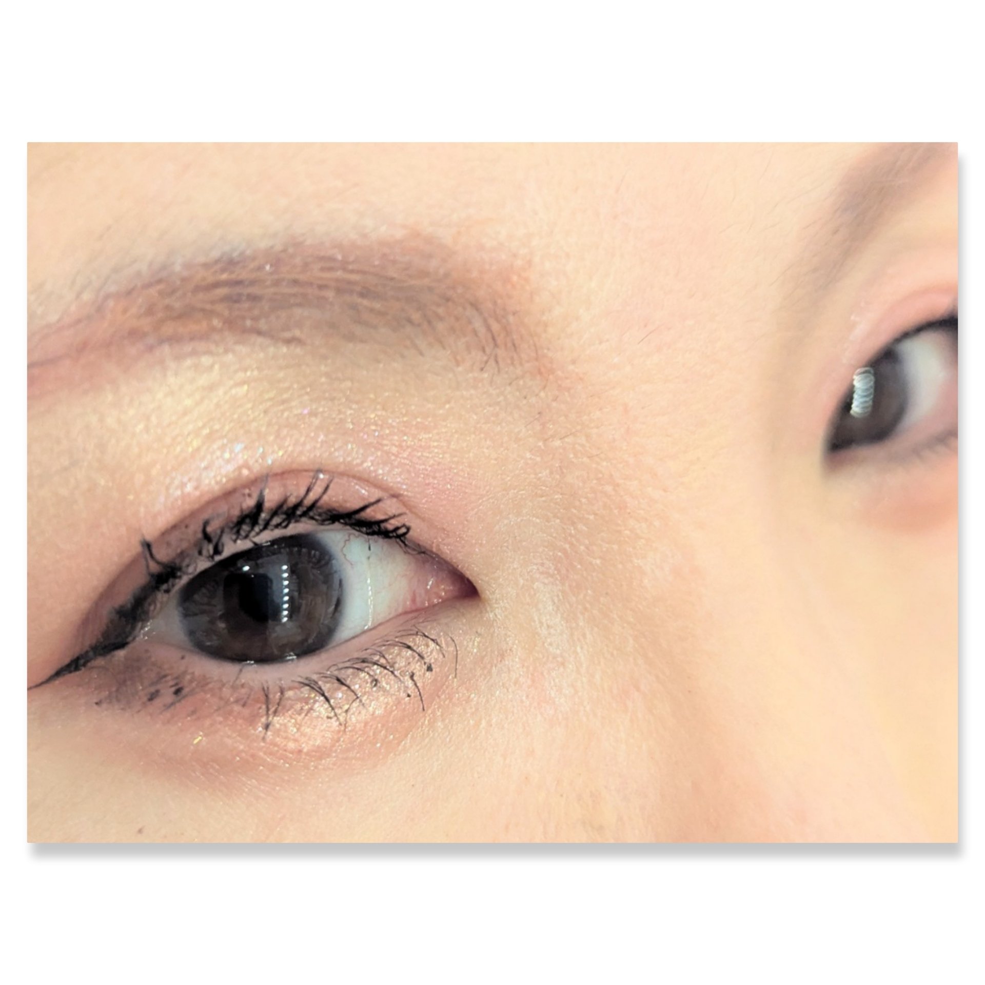 シャドーフラッシュ /MAJOLICA MAJORCA/アイシャドウパレットを使ったクチコミ（2枚目）