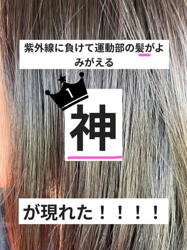 紫外線に負けた運動部の髪もよみがえる⁉️










こんにちわ！

まーた久々に紹介したいもの見つけたので紹介します🦋🦋

写真でわかると思いますが髪の毛についてです！！！




私は常に外