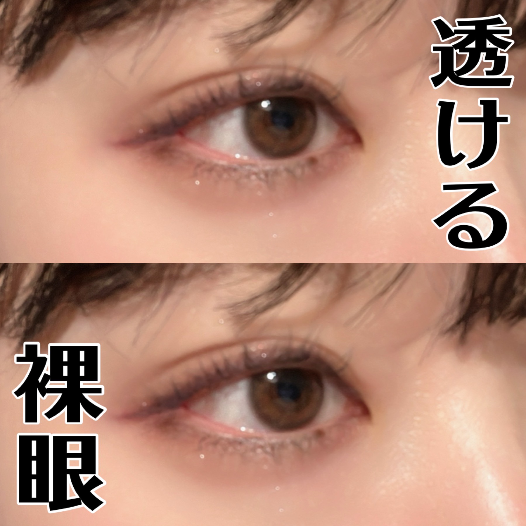 EYECICLE 1day/EYECICLE/カラーコンタクトレンズを使ったクチコミ（1枚目）