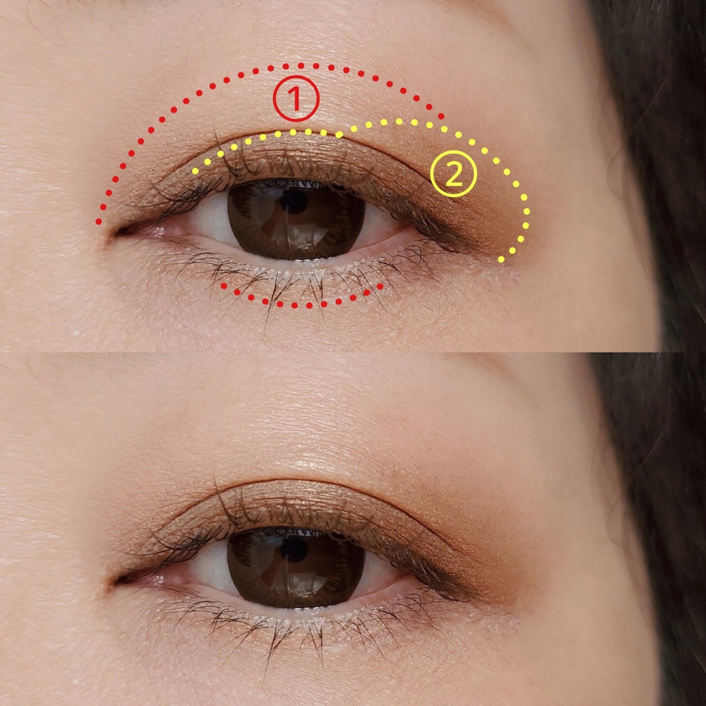 エテュセ アイエディション (マスカラベース)/ettusais/マスカラ下地を使ったクチコミ(3枚目)