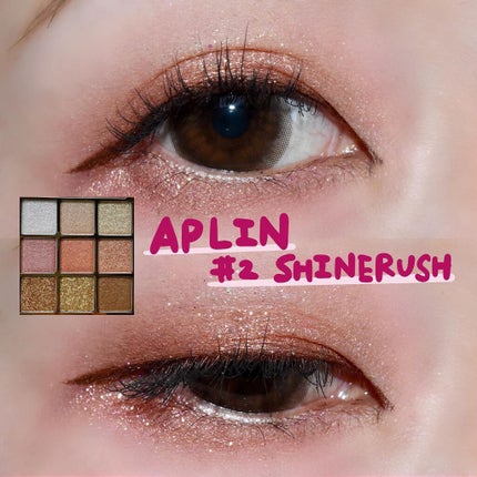 ワンピックアイシャドウパレット/APLIN/アイシャドウパレットを使ったクチコミ(1枚目)