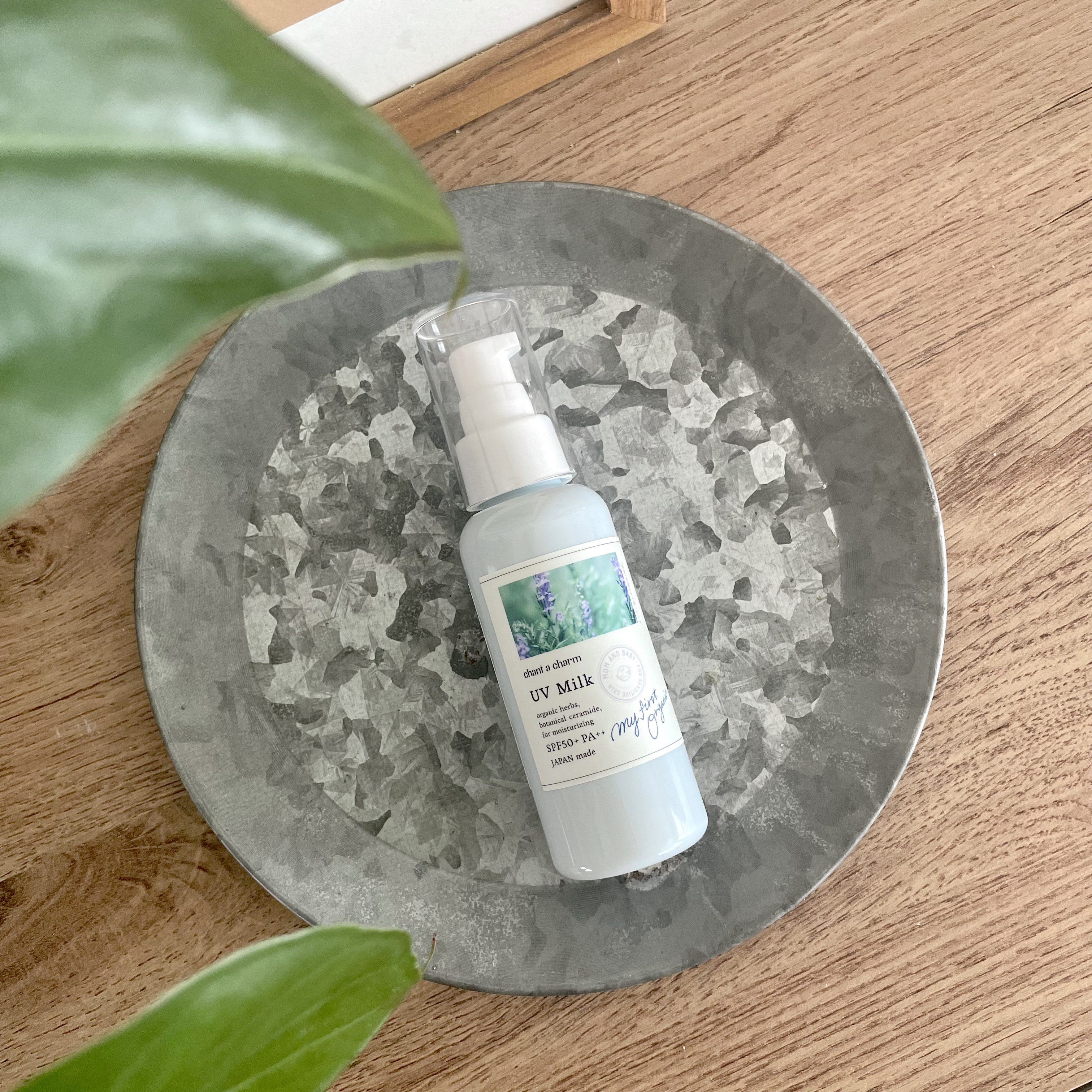 UVミルク 100ml/chant a charm /日焼け止めミルクを使ったクチコミ（1枚目）
