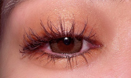 シグニチャー カラー アイズ/SUQQU/アイシャドウパレットを使ったクチコミ(4枚目)