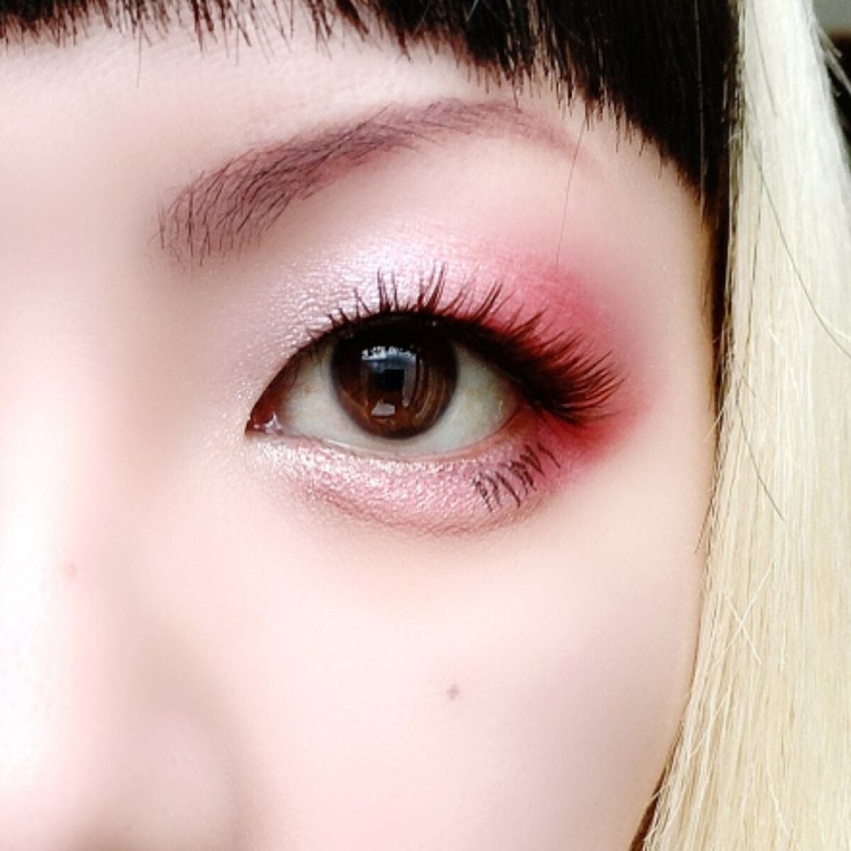 アニマルアイシャドウ(4シェード)/ZEESEA/アイシャドウパレットを使ったクチコミ(7枚目)