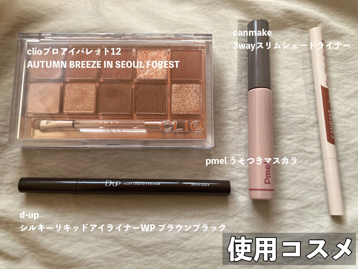 プロ アイ パレット/CLIO/アイシャドウパレットを使ったクチコミ(4枚目)