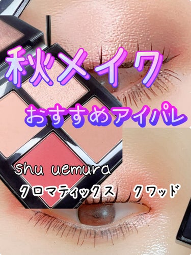 クロマティックス クワッド/shu uemura/アイシャドウパレットを使ったクチコミ（1枚目）