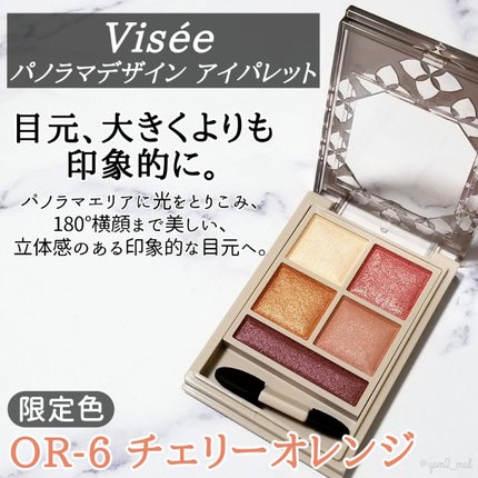 パノラマデザイン アイパレット/Visée/アイシャドウパレットを使ったクチコミ(2枚目)