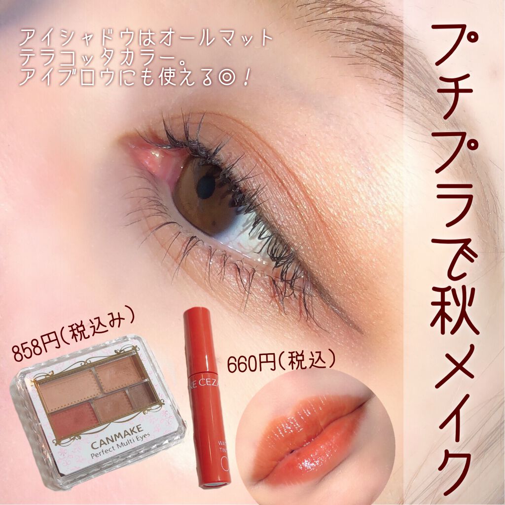 パーフェクトマルチアイズ/キャンメイク/アイシャドウパレットを使ったクチコミ（1枚目）