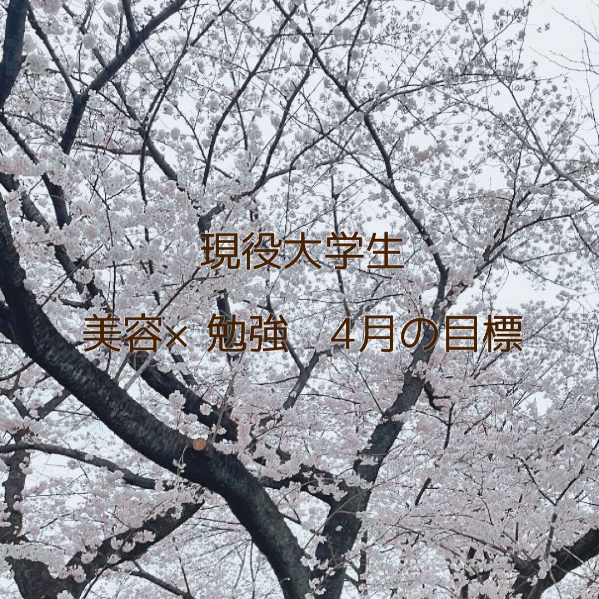 まな୨୧美容好き大学生の自分磨き記録 on LIPS 「今日は少し遅くなってしまったけど、私の4月の目標を紹介します🤍..」(1枚目)