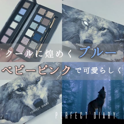 エクスプローラ12色 動物アイシャドウパレット/PERFECT DIARY/アイシャドウパレットを使ったクチコミ(1枚目)