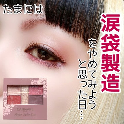 パーフェクトスタイリストアイズ/キャンメイク/アイシャドウパレットを使ったクチコミ(1枚目)