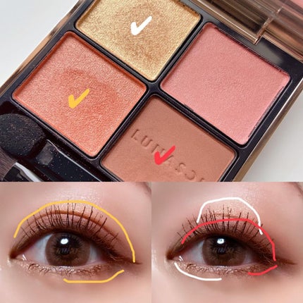 アイカラーレーション/LUNASOL/アイシャドウパレットを使ったクチコミ(3枚目)