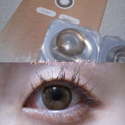 TOPARDS 1day/TOPARDS/ワンデー(1DAY)カラコンを使ったクチコミ(2枚目)