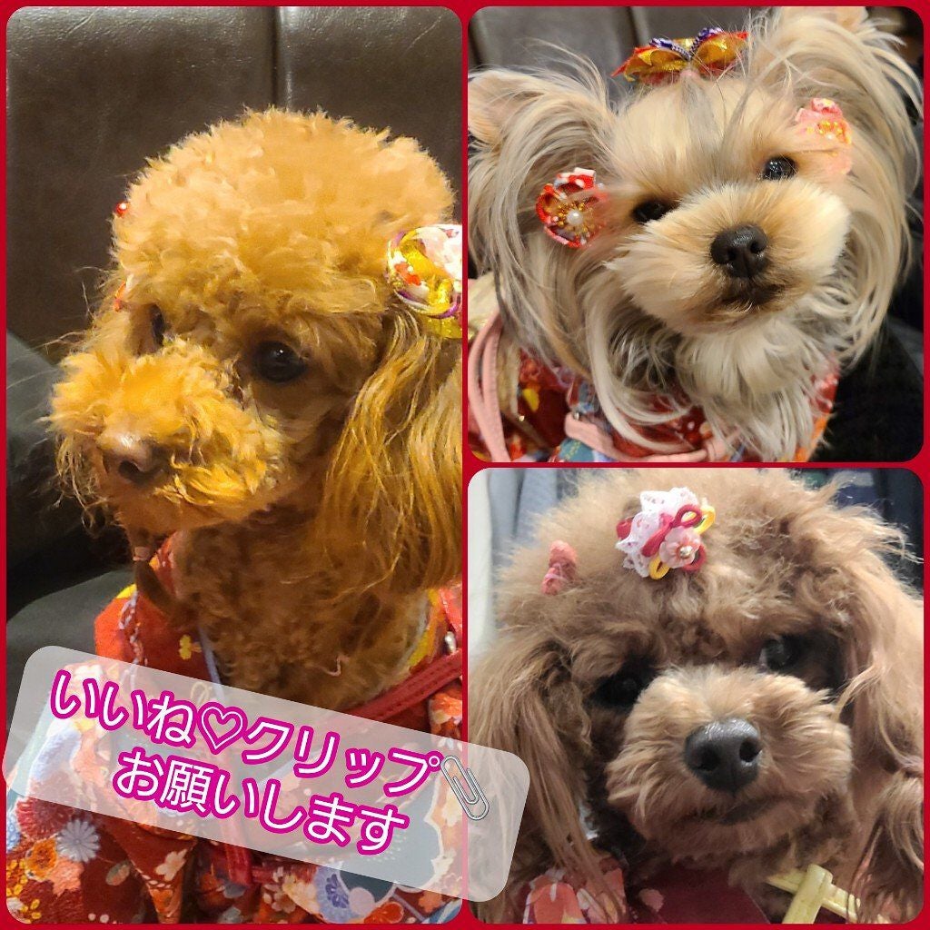 ロング&カールマスカラ アドバンストフィルム/ヒロインメイク/マスカラを使ったクチコミ(3枚目)