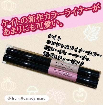 コンシャスライナーカラー/KATE/リキッドアイライナーを使ったクチコミ(1枚目)